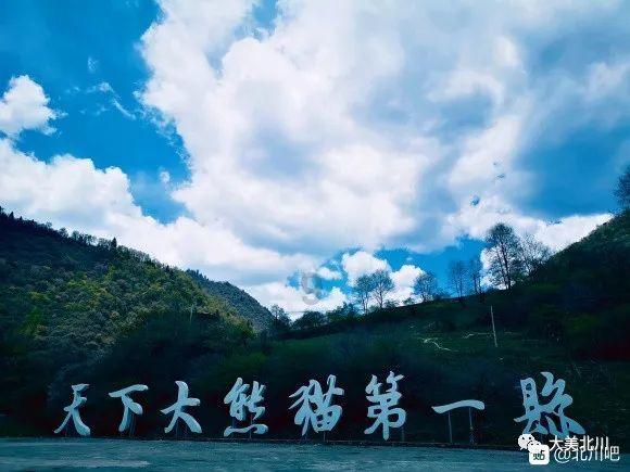 战争机器4